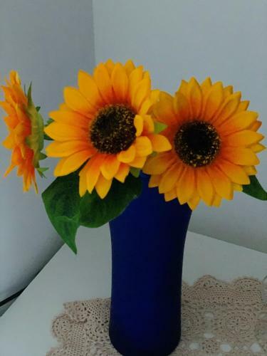 Via Bovio Guest House