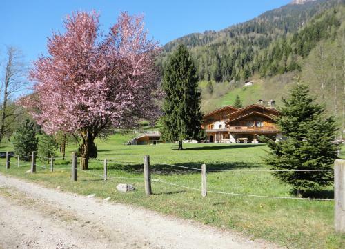 Hotel Chalet Alpino - Maso Del Brenta