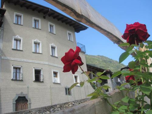 Agroturismo Agriturismo Antico Filare