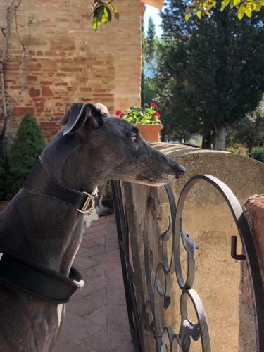 La Casa D'ambra Bed And Breakfast