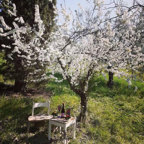 Bed & Breakfast Granica