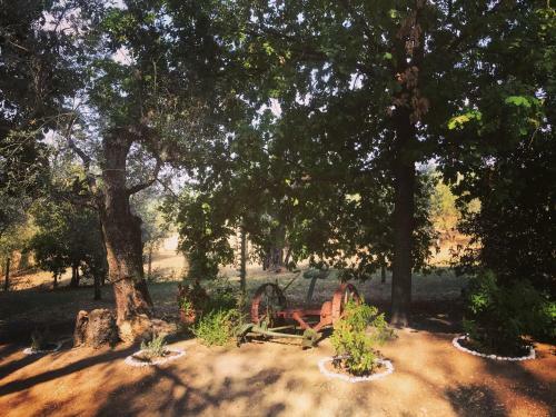 Bed & Breakfast Granica