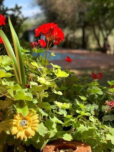 Bed & Breakfast Granica