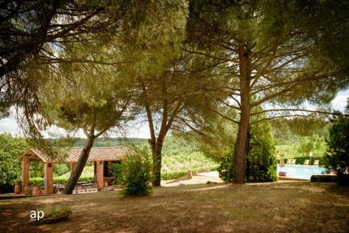 Agroturismo Castello Selvole