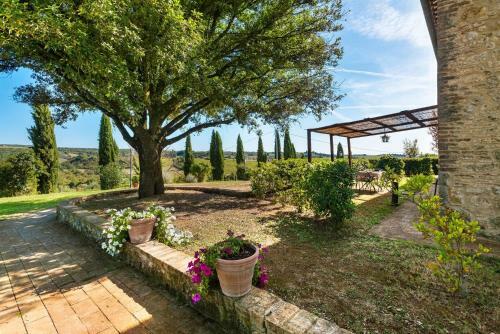 Apartamento Glicine