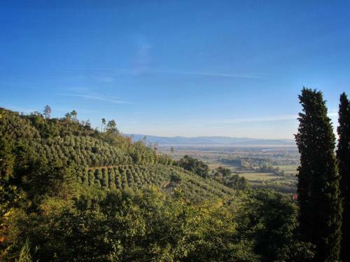 Luxury 6-bed Tuscan Villa Near Lucca