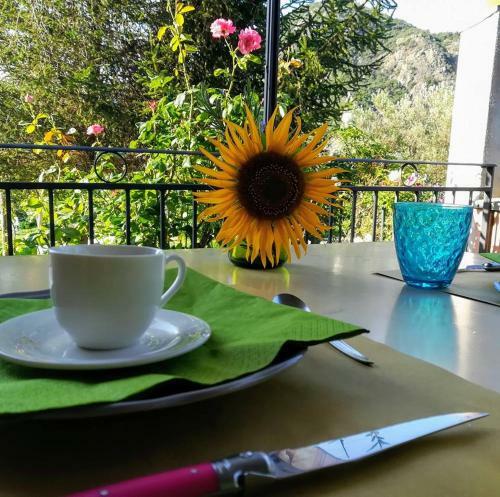 Agroturismo Agriturismo Il Castagneto