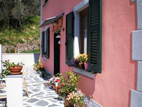 Agroturismo Agriturismo Il Castagneto