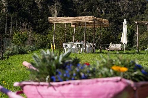 Agroturismo Agriturismo Il Castagneto