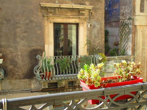 Bed & Breakfast Diletta Oasi
