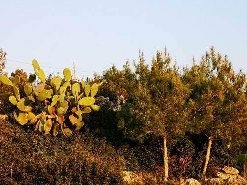 Leuca Sea Access Villas By Wowhomes