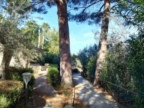 Apartamento Rentopolis Appartamento Hapimag Resort