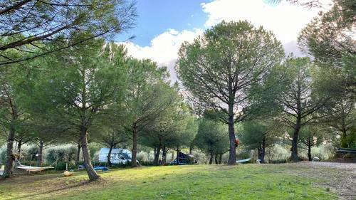 Agricamping Poggio Ai Pini