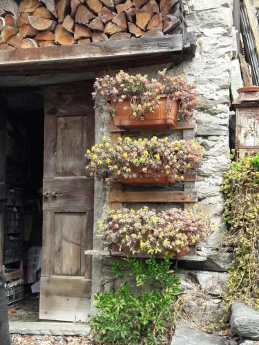 Foresteria B&B Vecchiascuola
