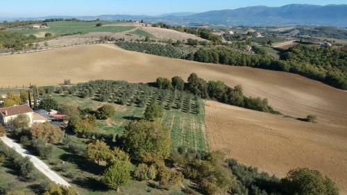 Agroturismo La Fortezza Alta