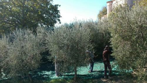 Agroturismo La Fortezza Alta