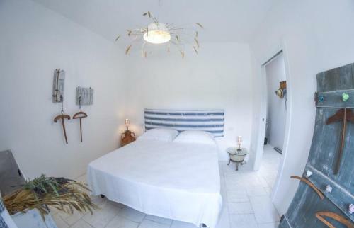 Villa Trulli Alma Viva Con Piscina