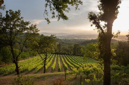 Agroturismo Agriturismo Le Cerque