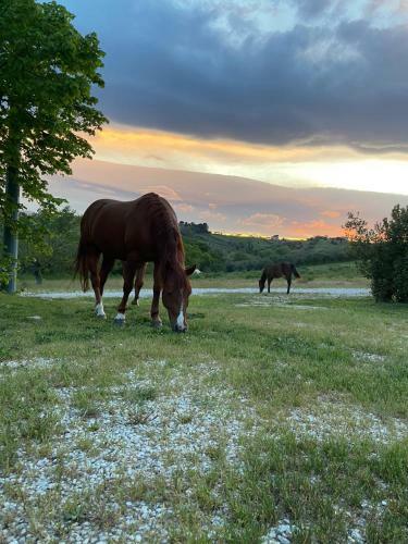 Agroturismo Agriturismo Le Arene