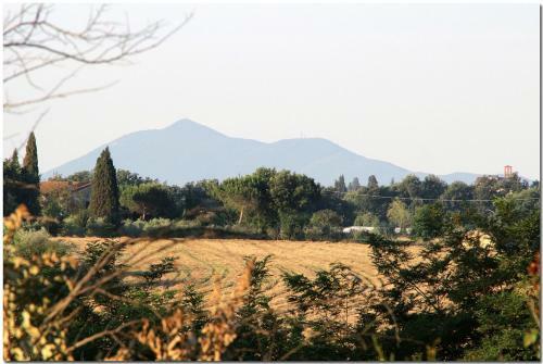 Villino Cortona
