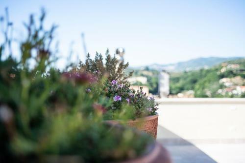 Bed & Breakfast Dimora de Matera Luxury Suites