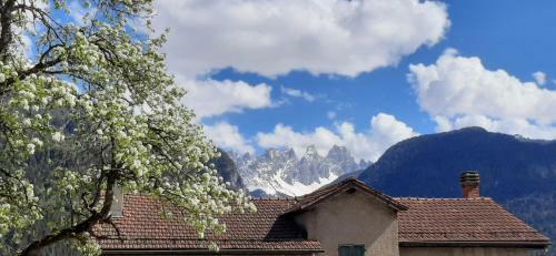 B&B Sognoincadore
