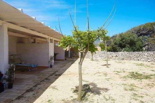 Bed & Breakfast Al Burrone