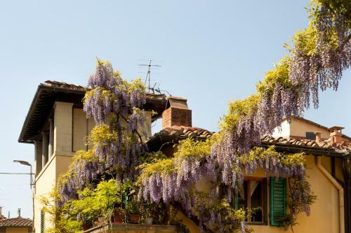 B&B Le Cannelle Fiesole