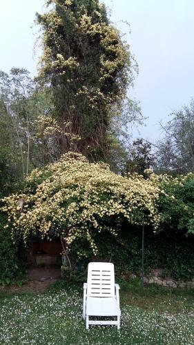 Poggio Alla Scaglia