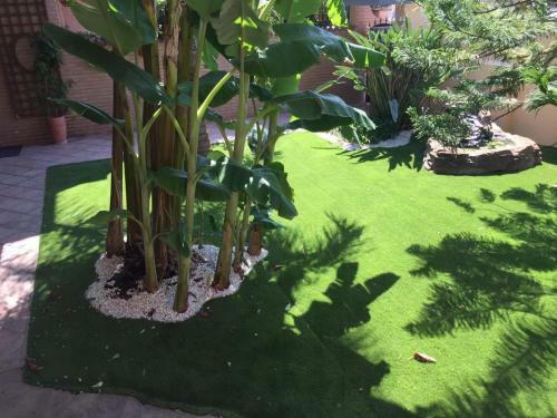 Hostal Fiumicino A57 Banano
