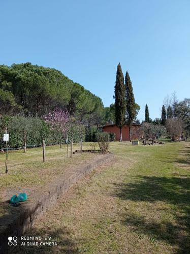 La Casetta Sul Lago B&B