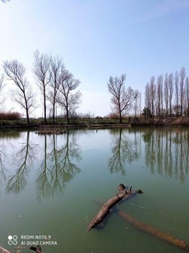 La Casetta Sul Lago B&B