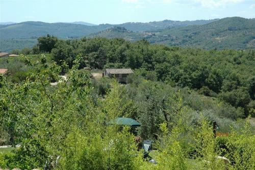 Villa Oliveta