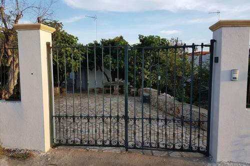 L'ulivo Segreto
