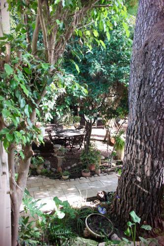 Hostal Pina Balev Inn