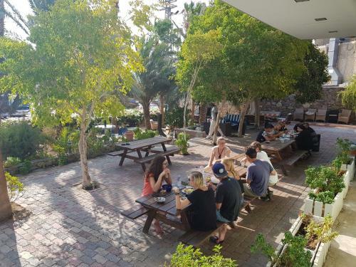 Arava Hostel
