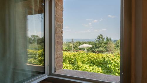 Villa L'oliveta 6