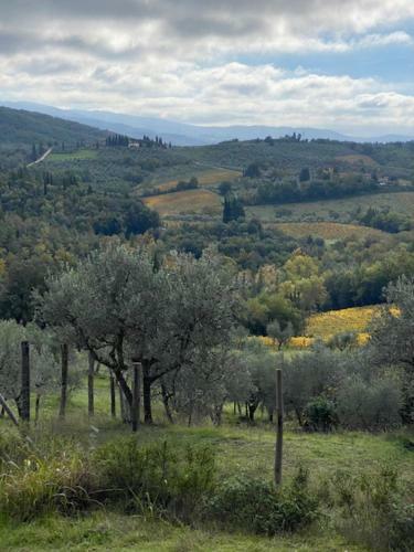 Bed & Breakfast La Mugnana