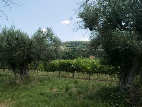 Apartamento Villa Cavalletti Appartamenti