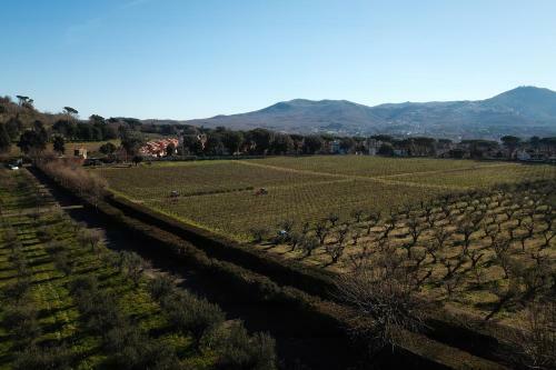Apartamento Villa Cavalletti Appartamenti