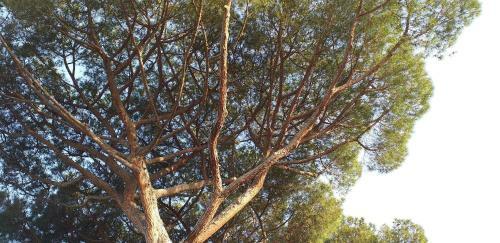 Apartamento Villa Cavalletti Appartamenti