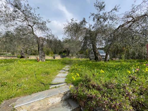 Apartamento Il Giardino Degli Ulivi