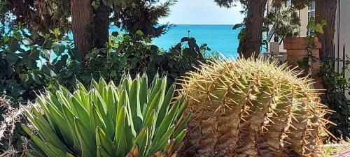 Apartamento La Pietra Azzurra