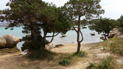 Casa Vacanze Della Maddalena