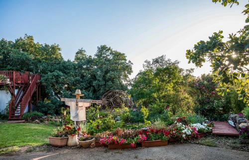Spa In The Woods - B&B In Amirim