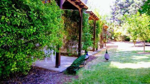 Apartamento Kibutz Tiratzvi - Country Lodging