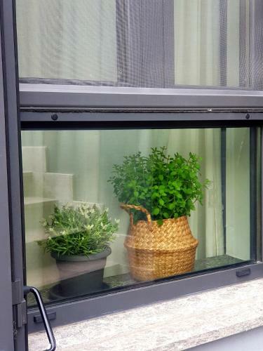 Apartamento Casa Delle Rose In Centro