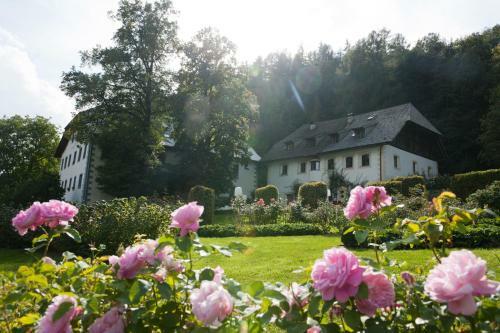 Bed & Breakfast Penzl 9