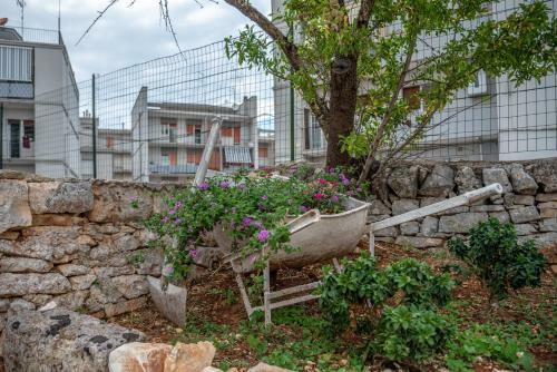 Apartamento Dimora Palmisano Villa & Trulli