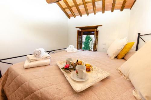 Agroturismo Orto Degli Olivi